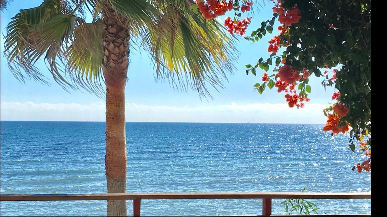 Mi Capricho Beachfront- 3-7 Apartment With Sea Views Sitio de Calahonda Eksteriør billede